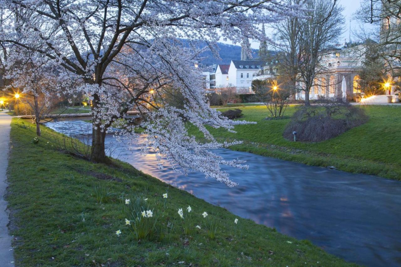 Eckberg Apartment Near City Centre & Nature Baden-Baden Luaran gambar