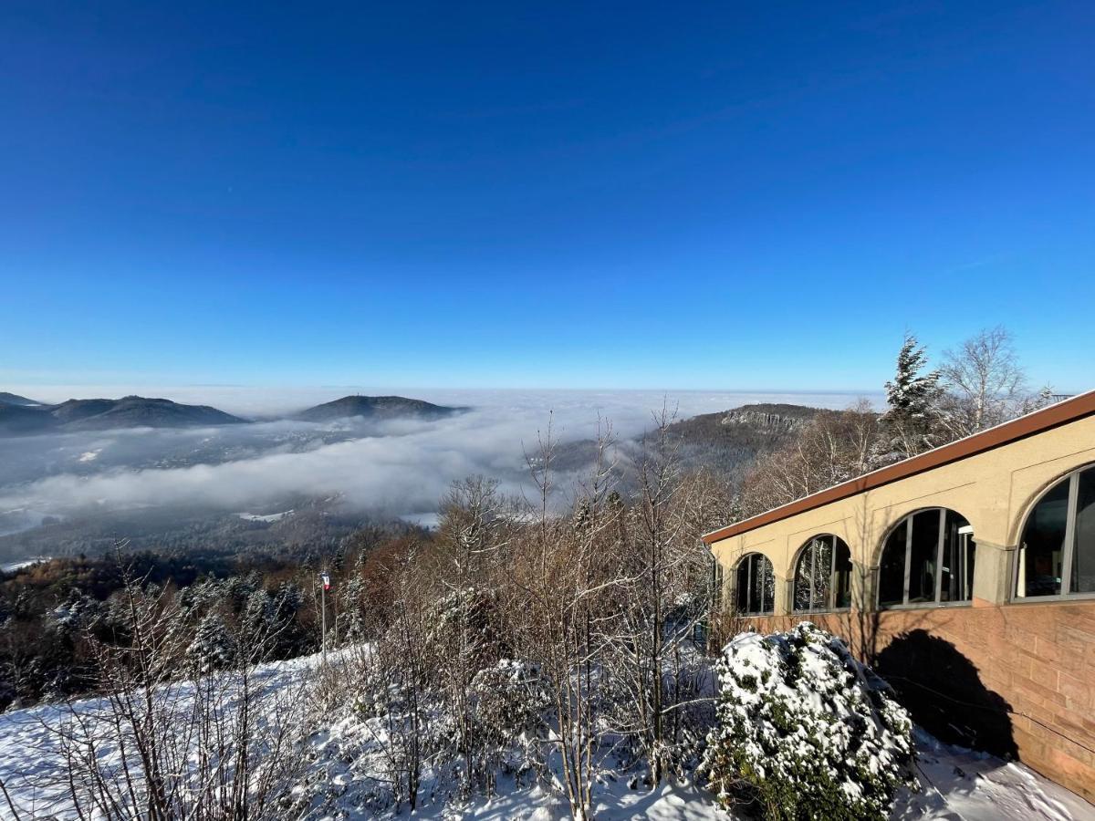 Eckberg Apartment Near City Centre & Nature Baden-Baden Luaran gambar