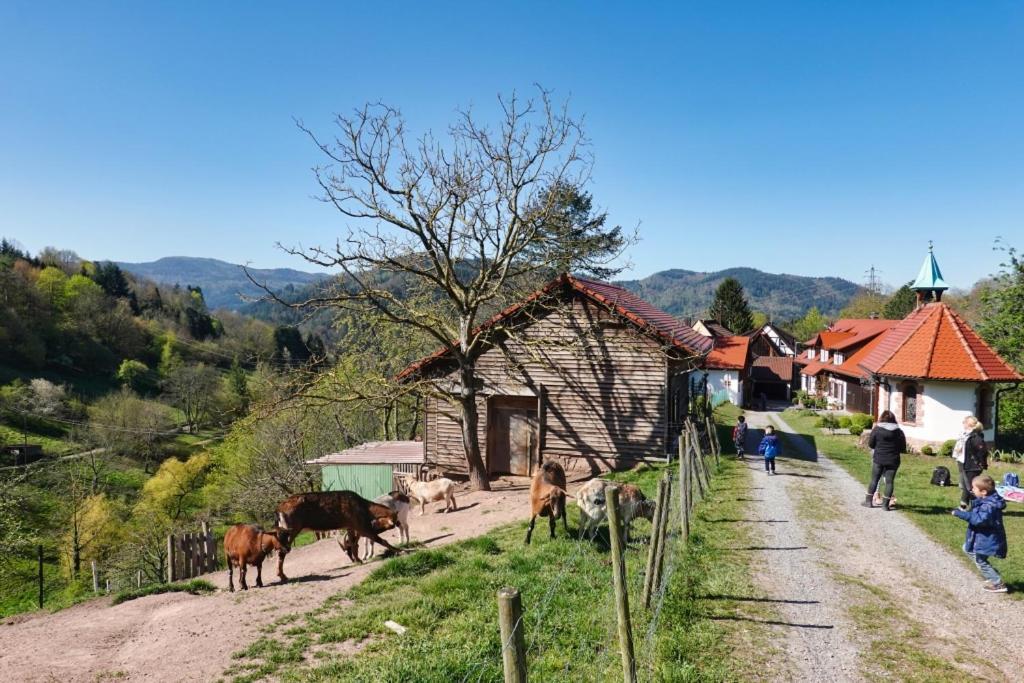 Eckberg Apartment Near City Centre & Nature Baden-Baden Luaran gambar